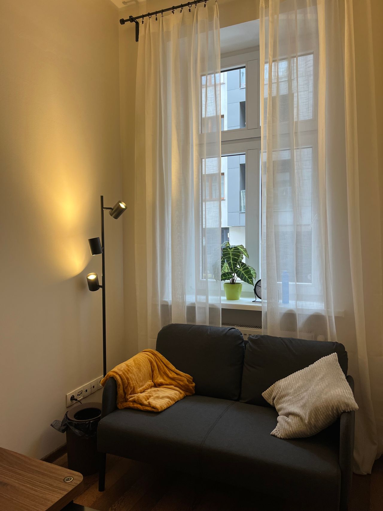 Monika Domska-Brzozowska -9