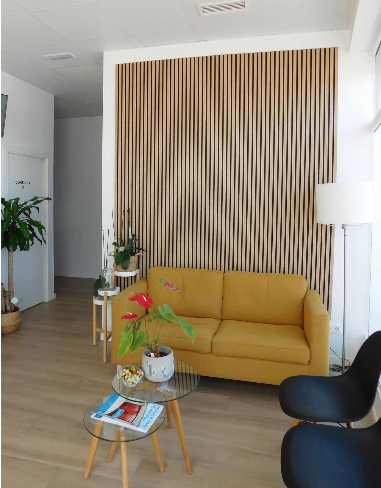 Virginia Ceña Romero-3