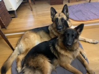 Mertxe Fernández Rodrigo-6