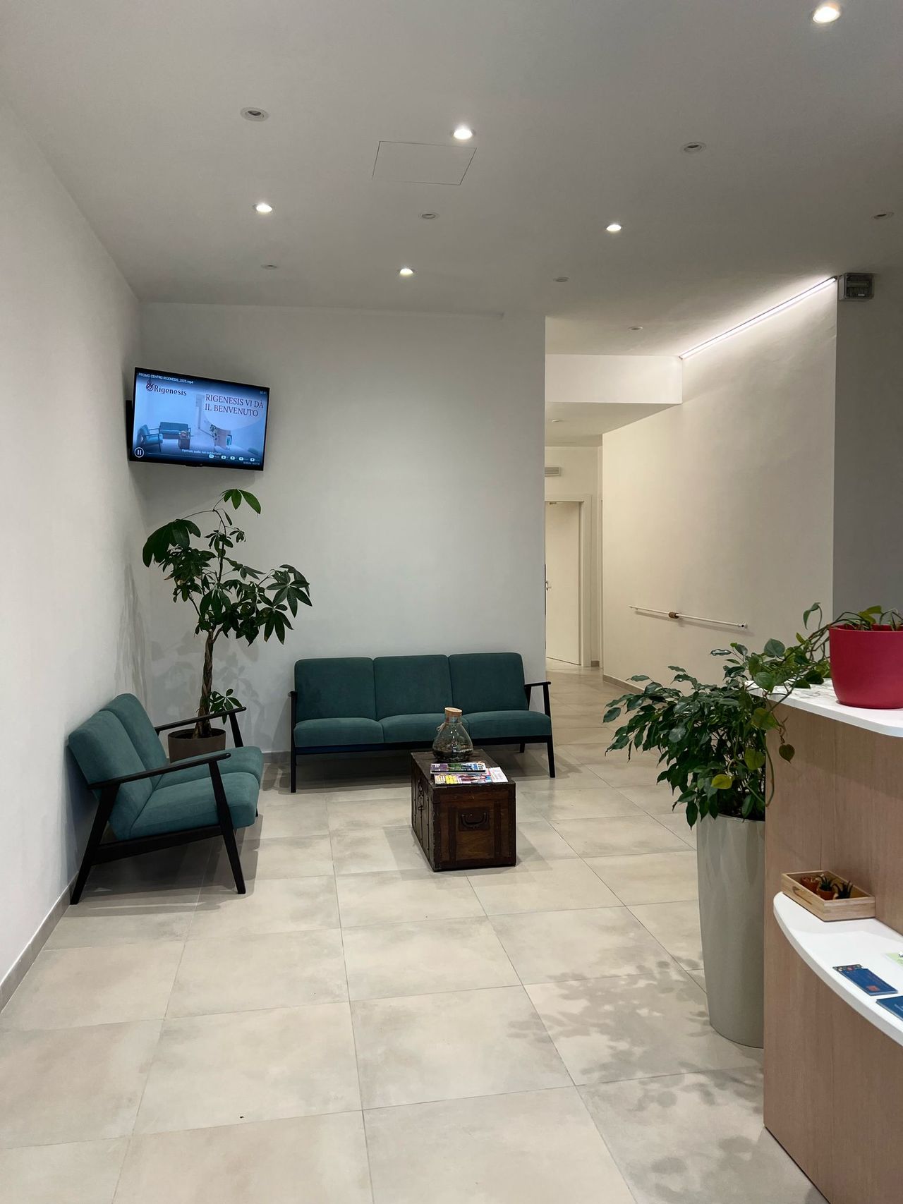 Maria Candida Falco-1