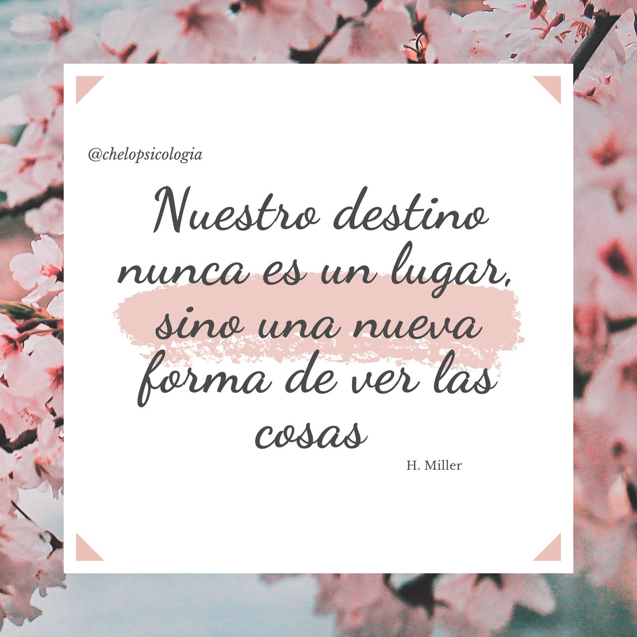 Chelo Gandia Valdés-18