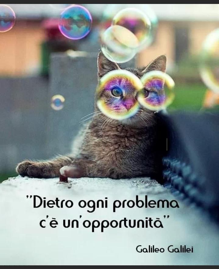 Francesco Sonzogni-62