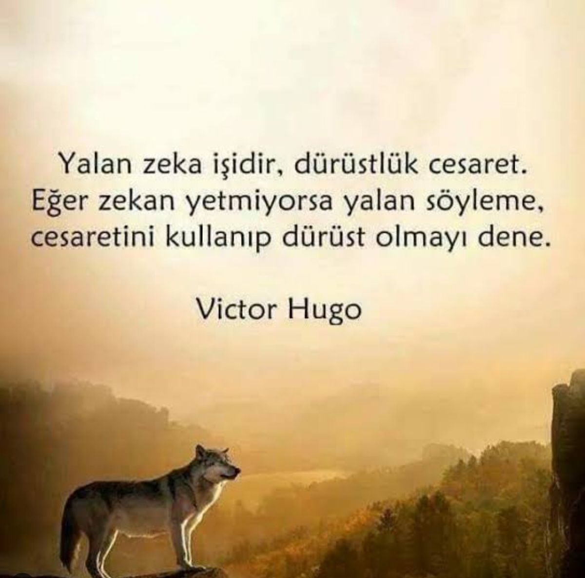 Ayşen Betül Okat-37