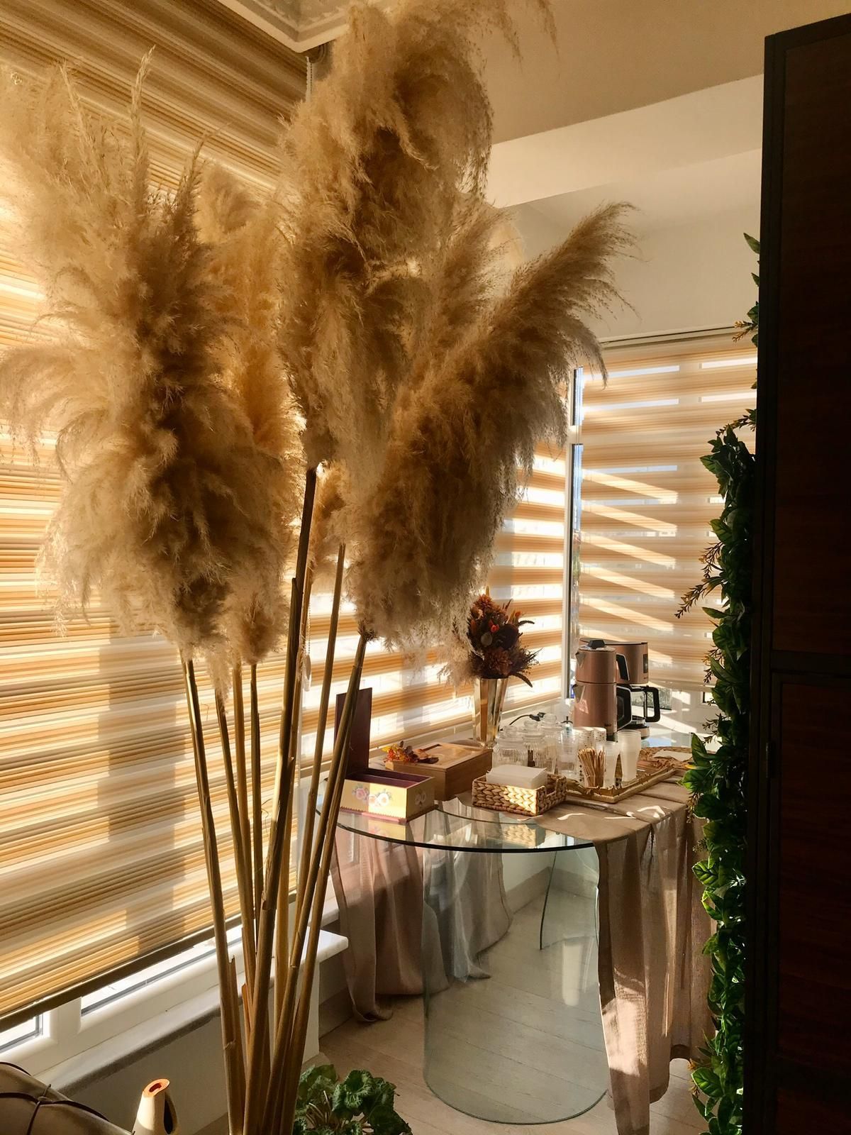 Ayşe Coşkun Yılmaz-4