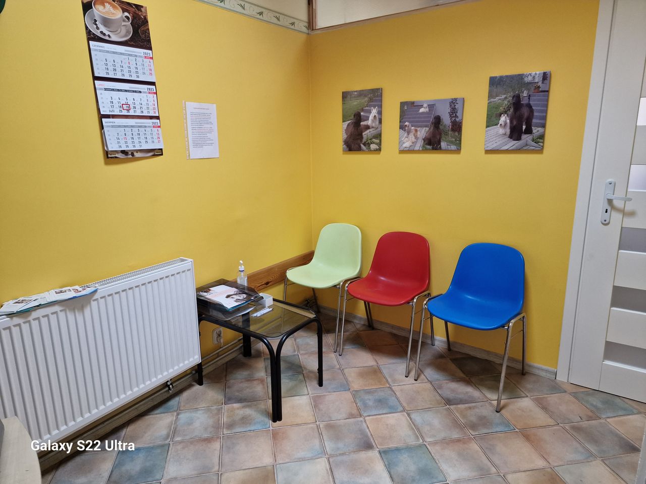 Jolanta Rogalska- Łukaszewicz-8