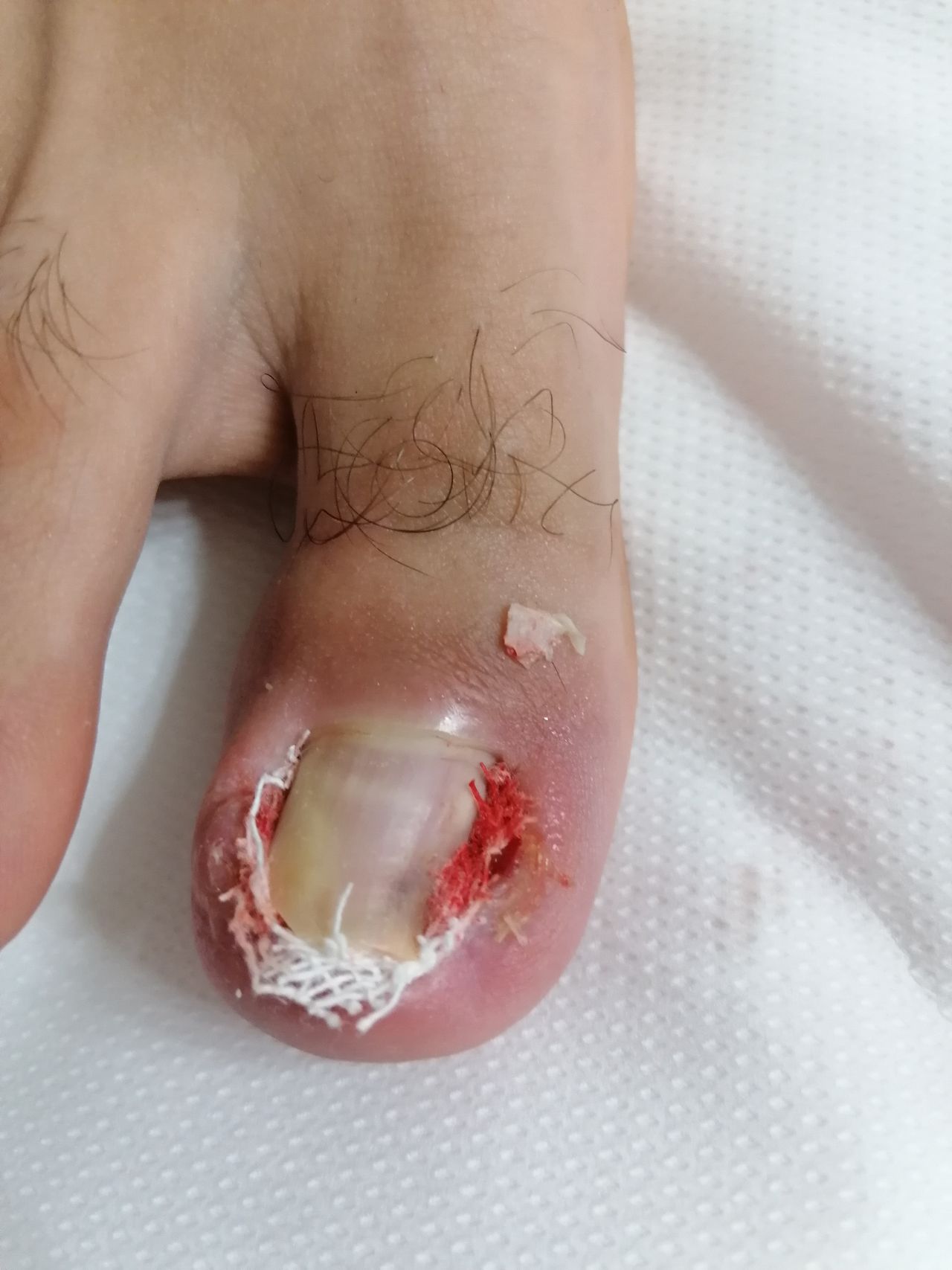 Kassandra Nicolosi-35