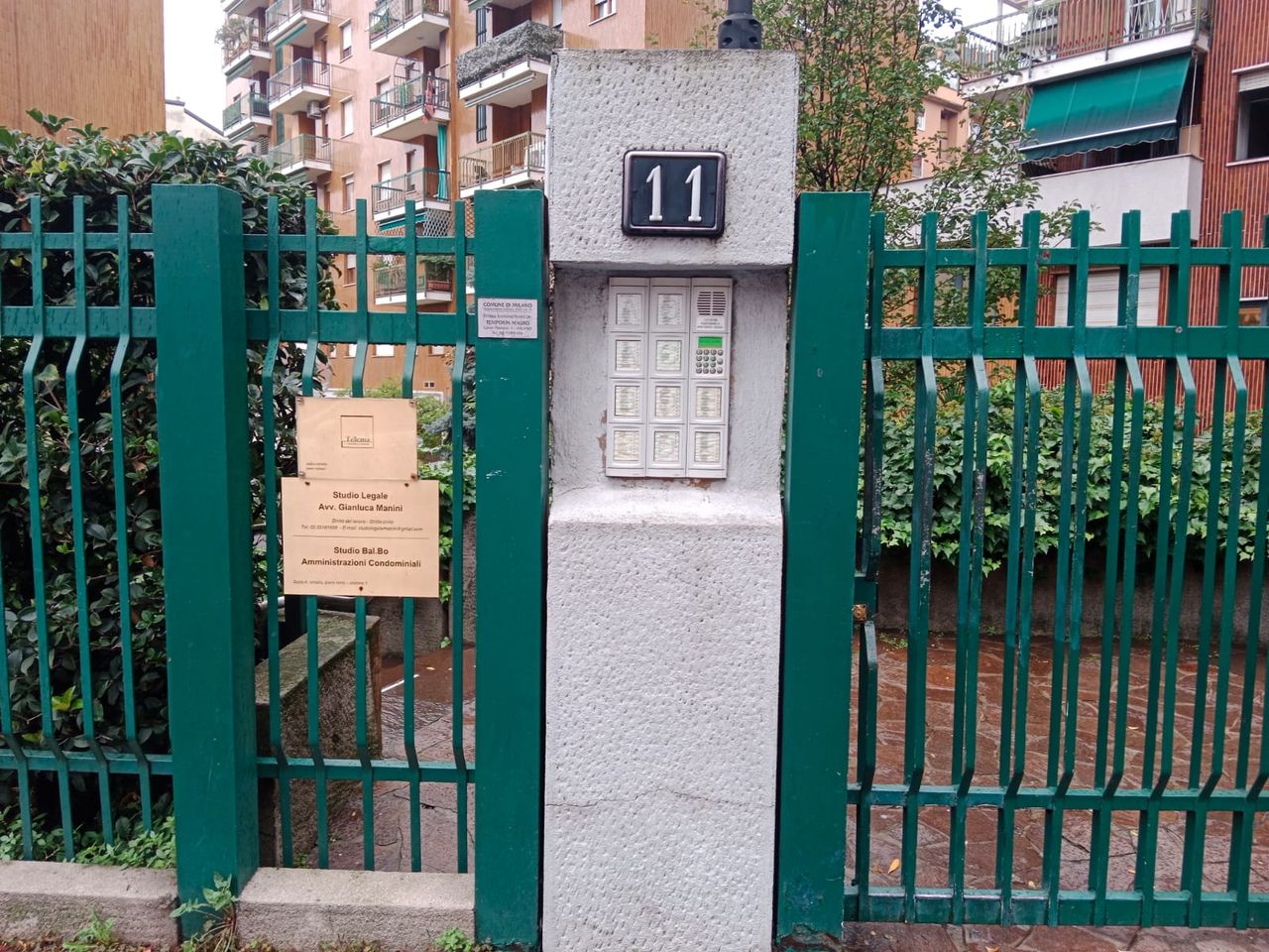 Alessandra Mascellani-3