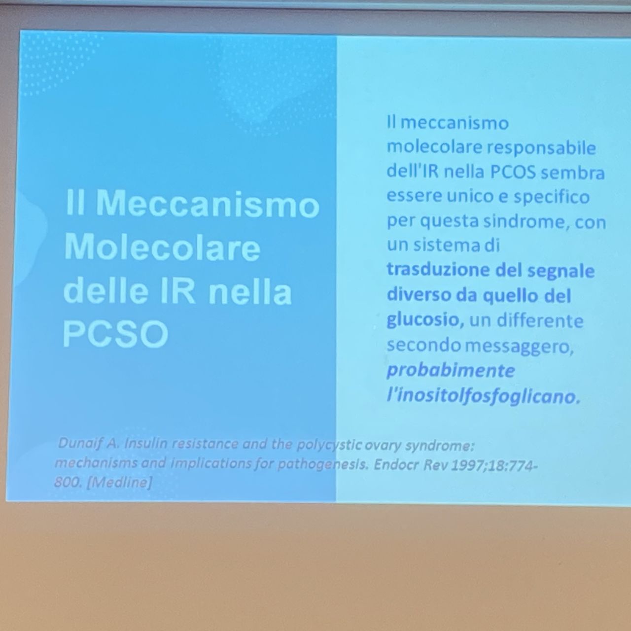 Maria Emanuela Lavaselli-0