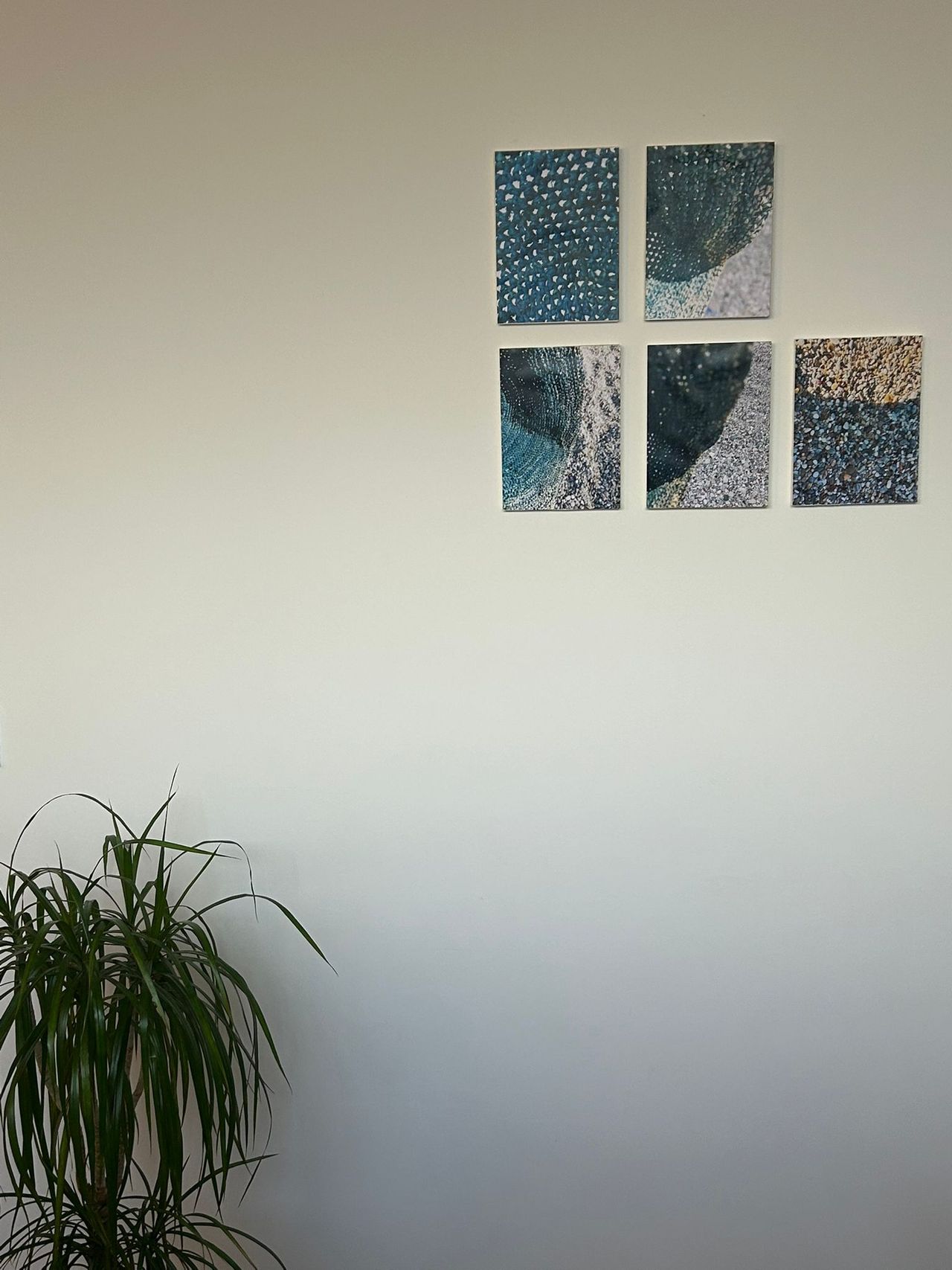 María González Martín-4