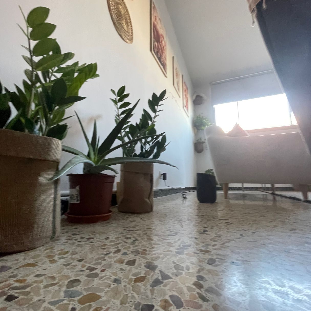 Patricia Gutiérrez Isla-14