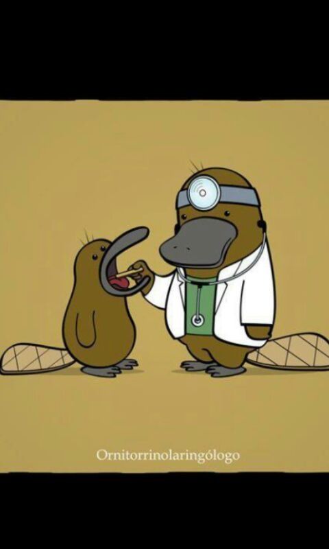 Antonio Caravaca García-4