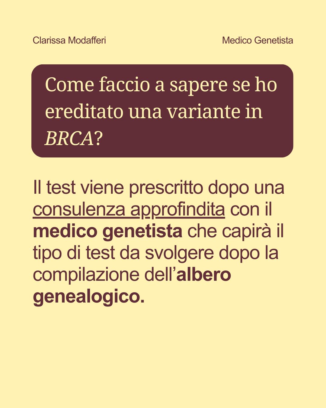 Clarissa Modafferi-6