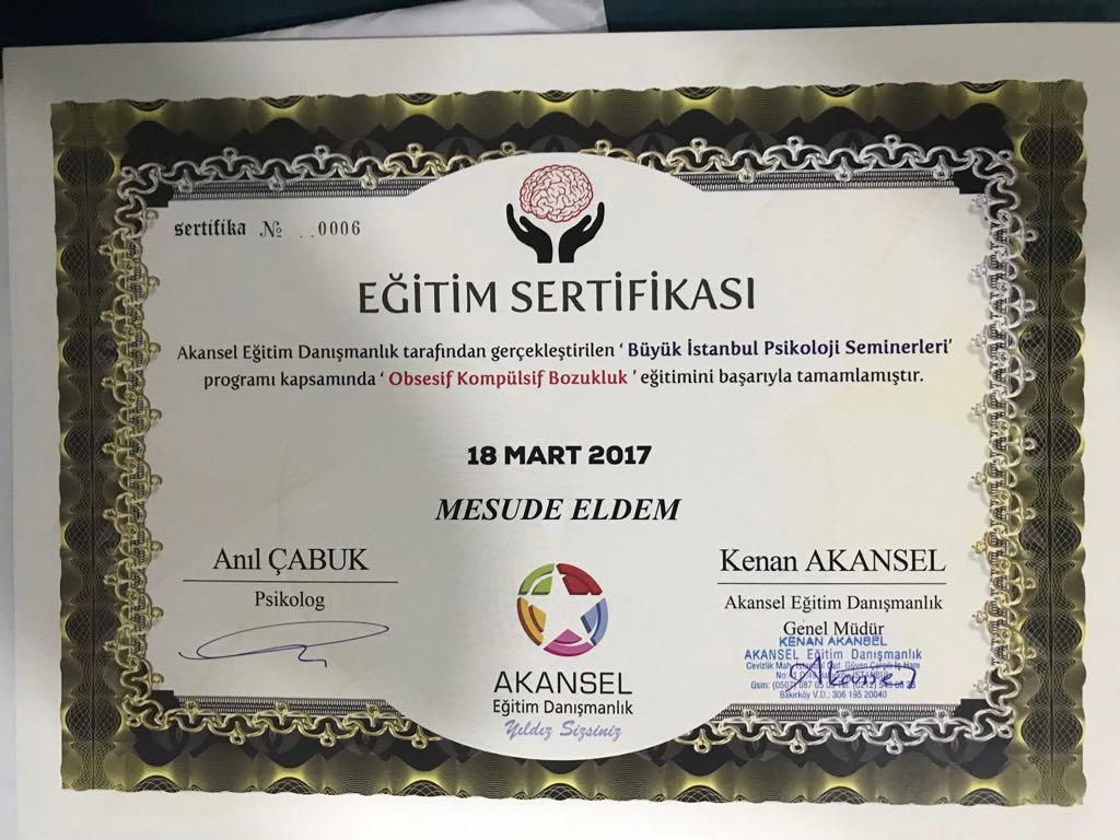 Mesude Eldem-8