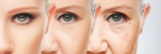 Rosa Pérez Parera-6