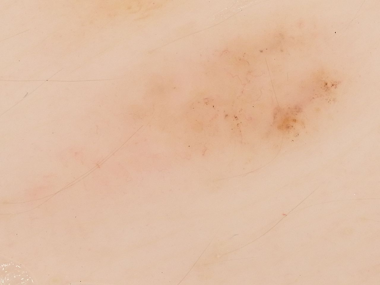 Paweł Pietkiewicz-9