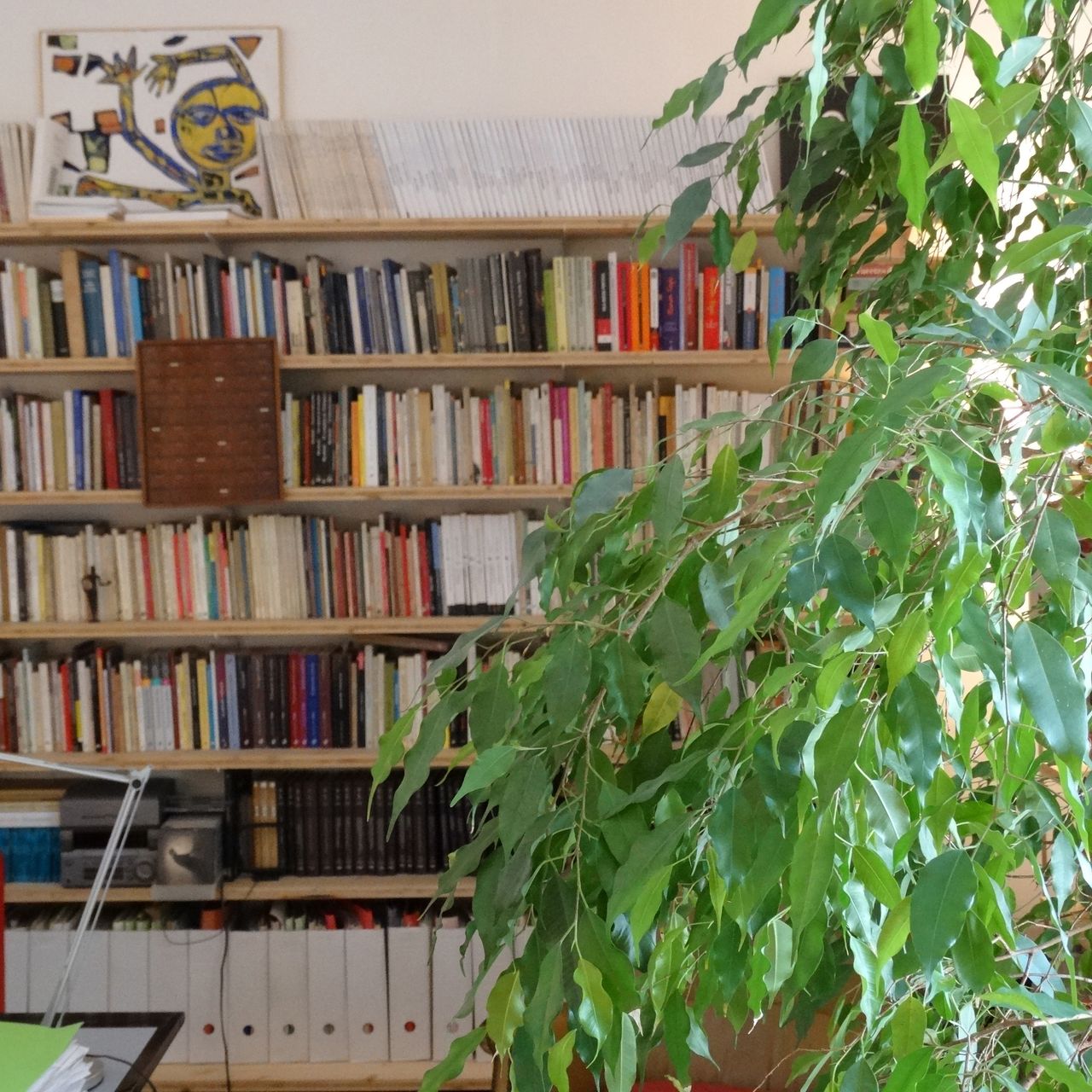 Carlos Farrés Snelders-4