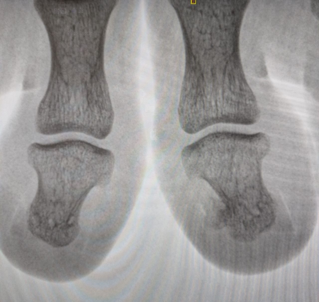 Gema Santos Quero-10