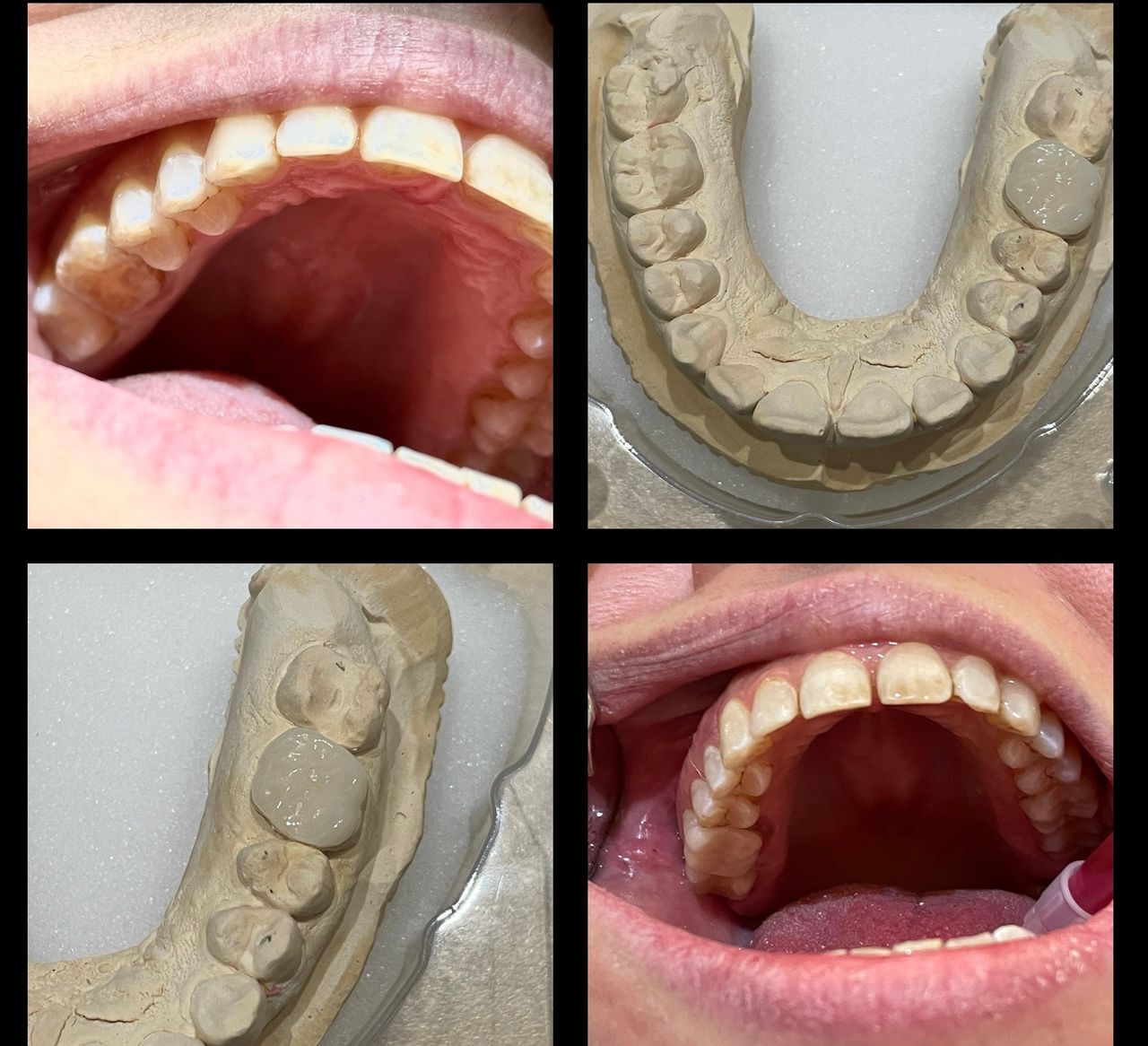 Alessandra Venezia-2