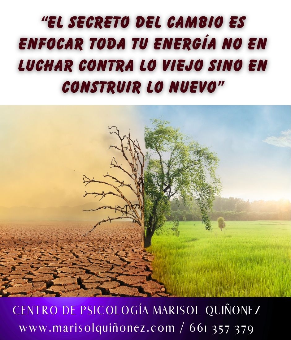 Marisol Quiñonez Quintero-145