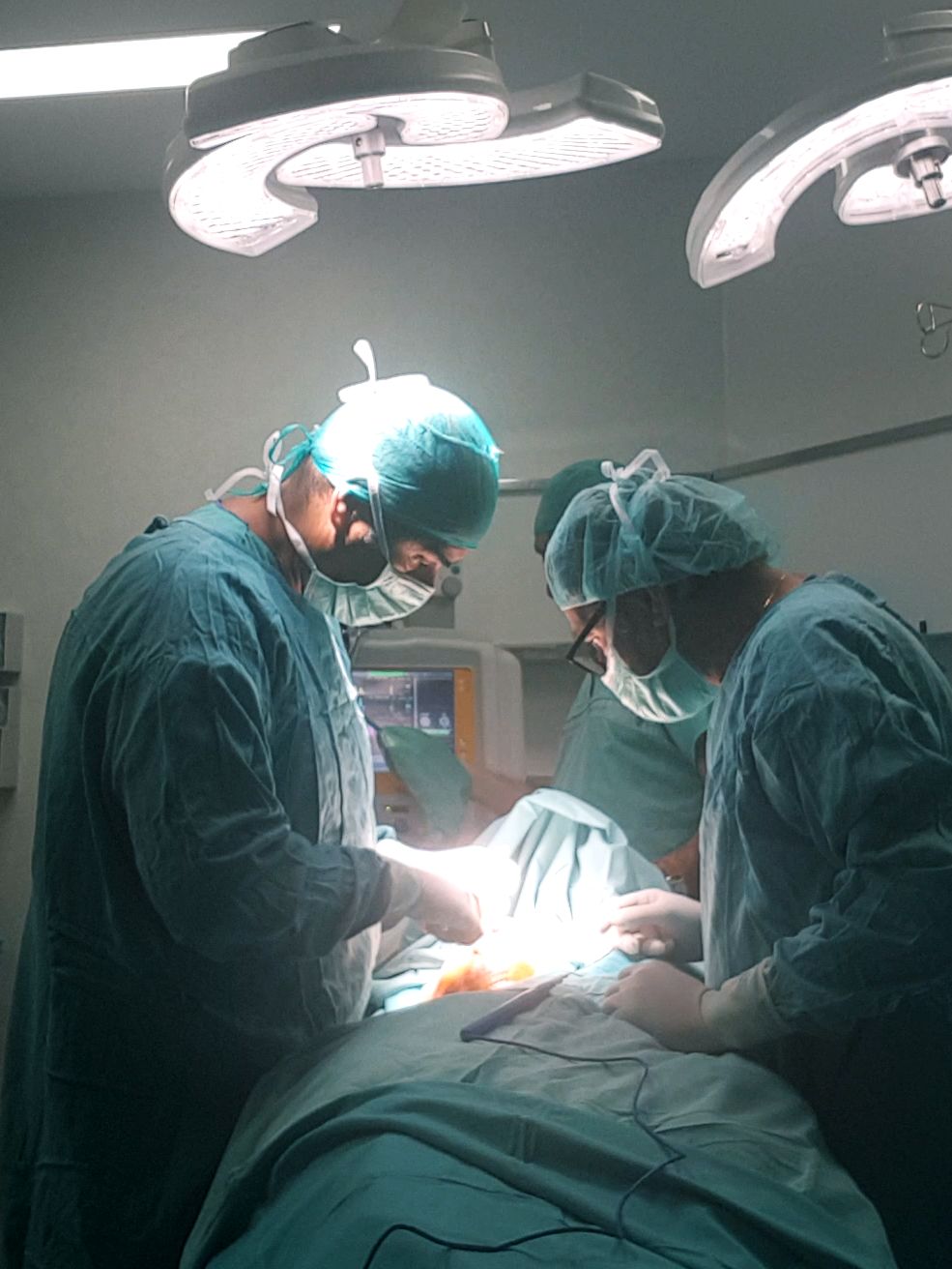 Jaume Serra Janer-13