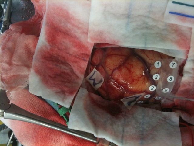 Giancarlo D'andrea-6