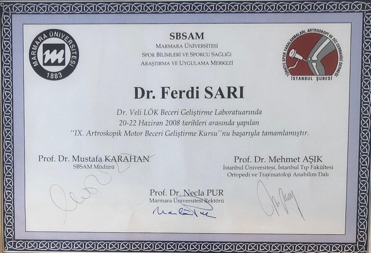 Ferdi Sarı-5