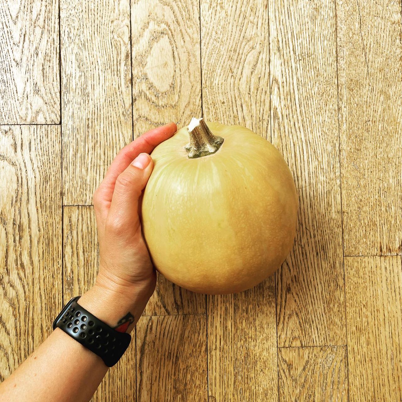 Francesca Maria Laguzzi-2