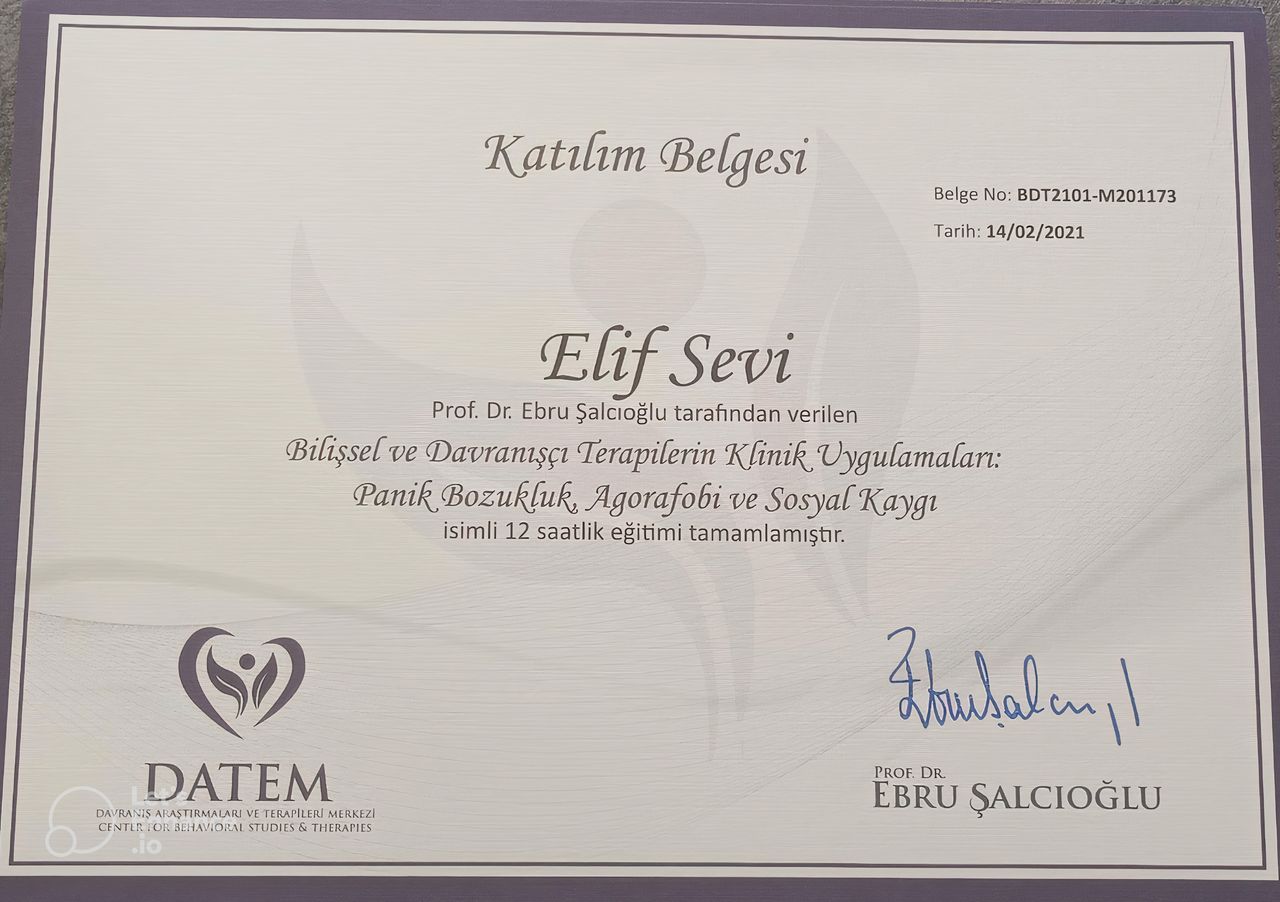 Elif Sevi Adıgüzel-11