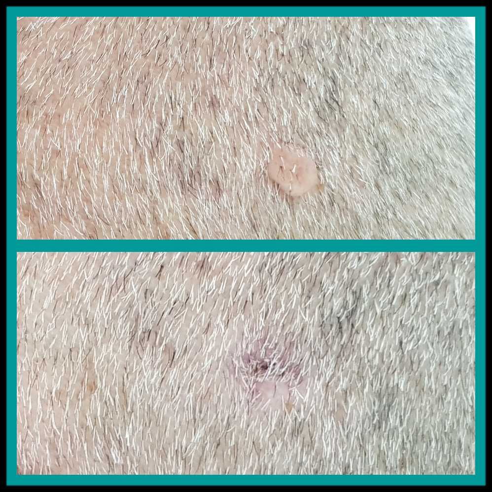 Rosalba Herrero Zerpa-375