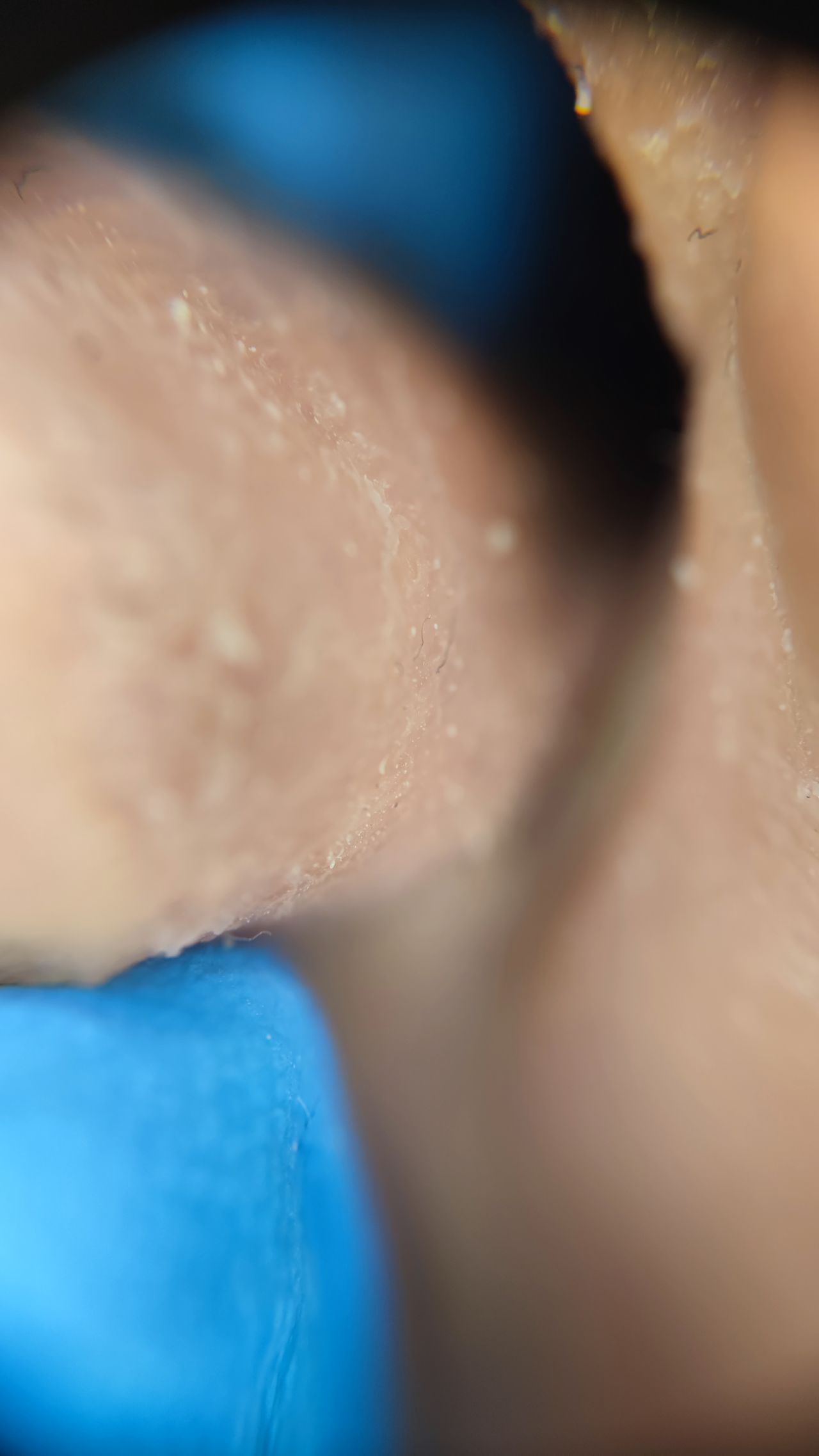 Paweł Pietkiewicz-7