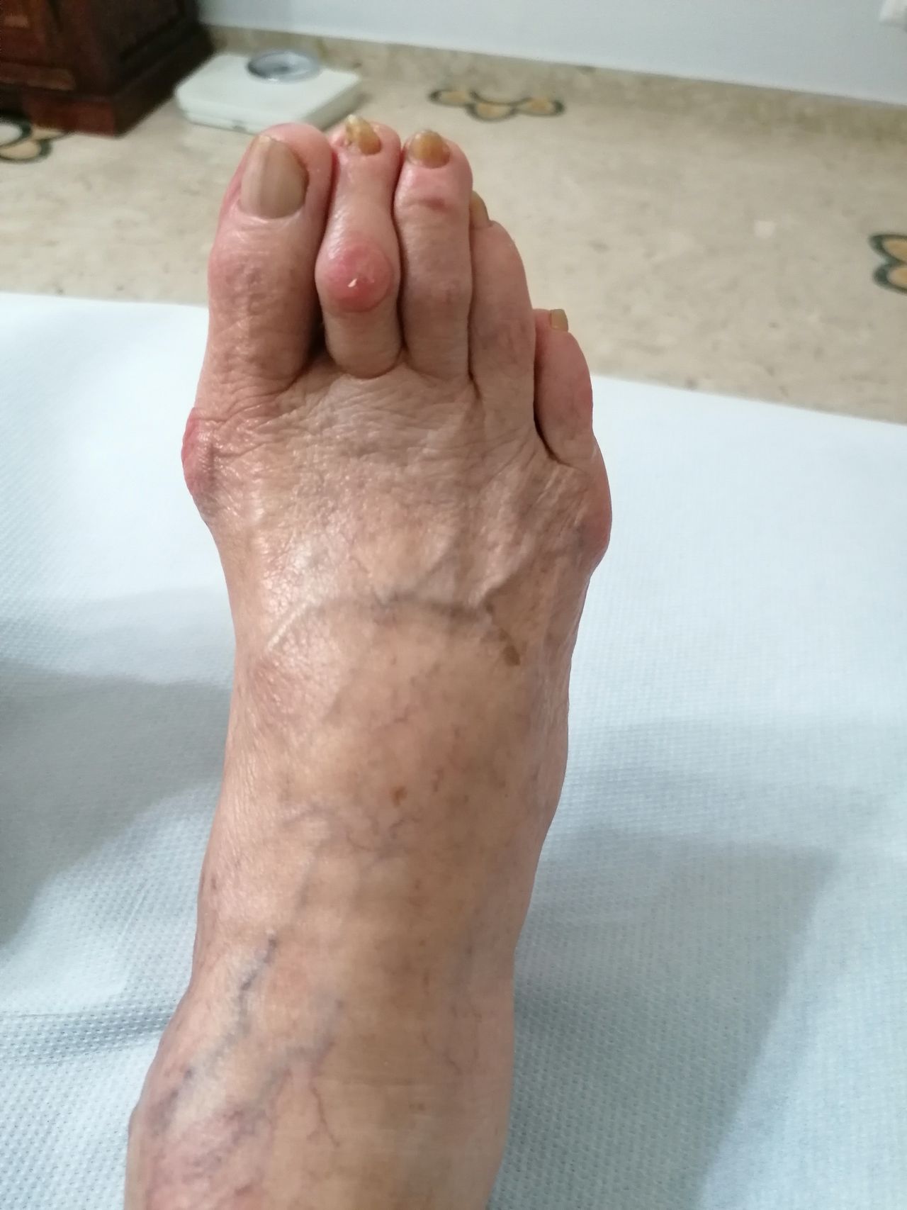 Kassandra Nicolosi-291