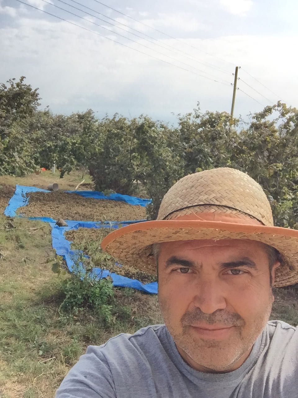 Mehmet Sayarlıoğlu-4