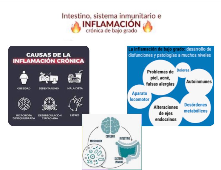 Ingrid Baquero Mejia-0