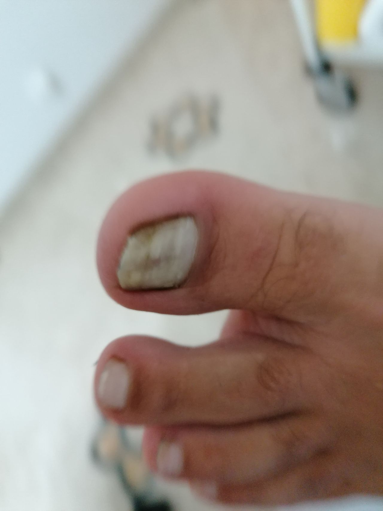 Kassandra Nicolosi-16