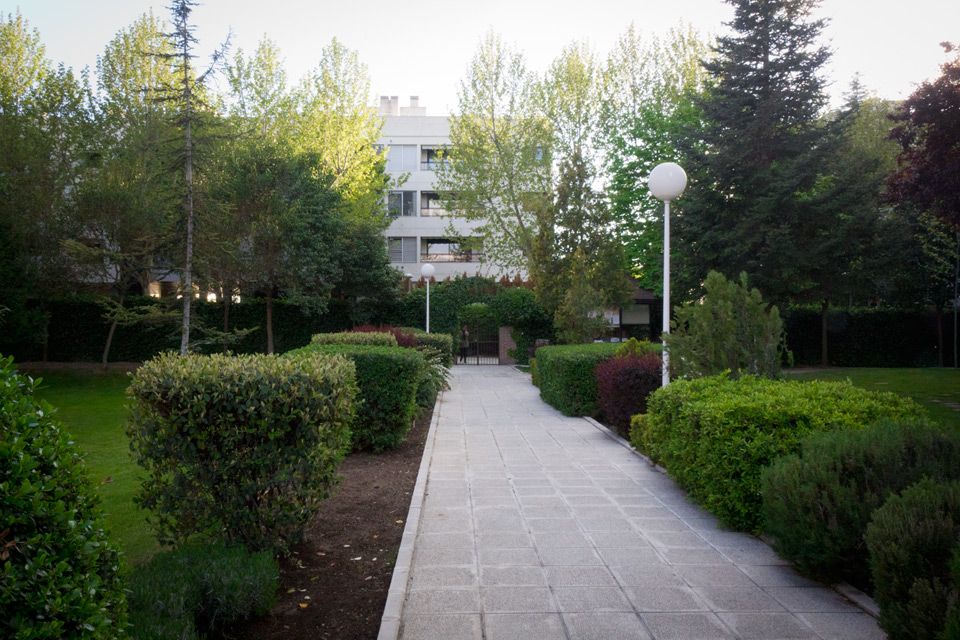 Ana Pérez Sánchez De Lamadrid-1