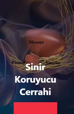 İnanç Yılmaz-3