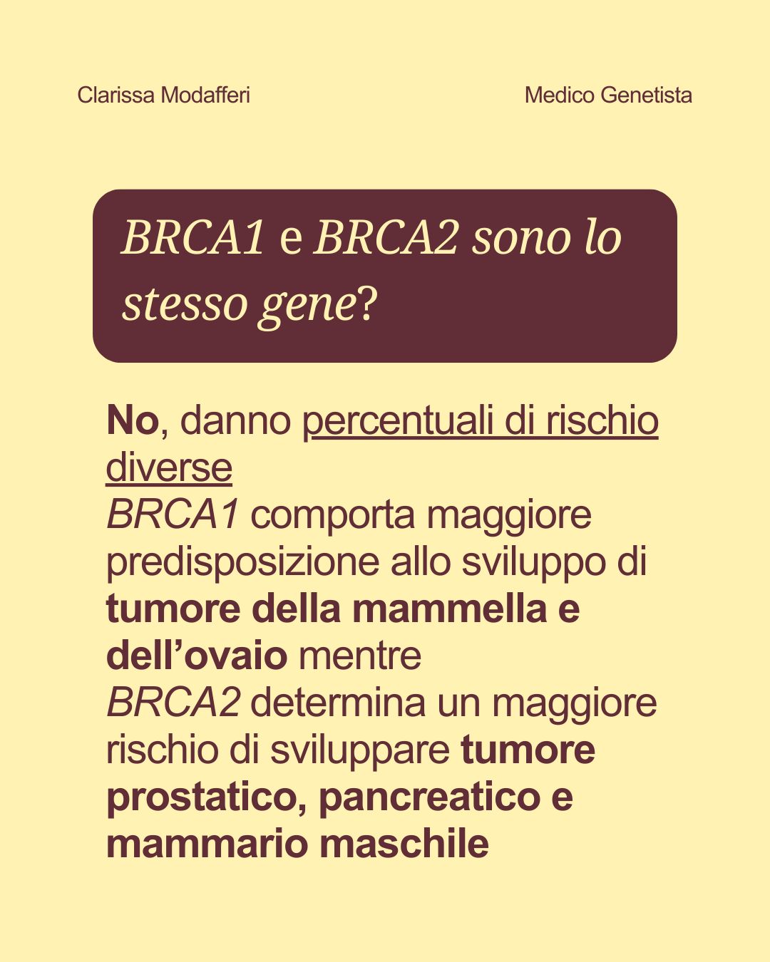 Clarissa Modafferi-3