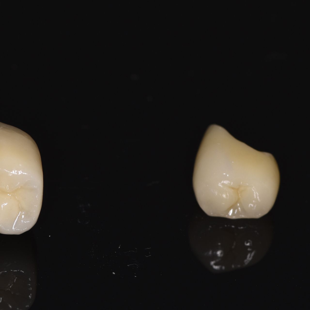 Agata Dąbrowska-Adamek-15