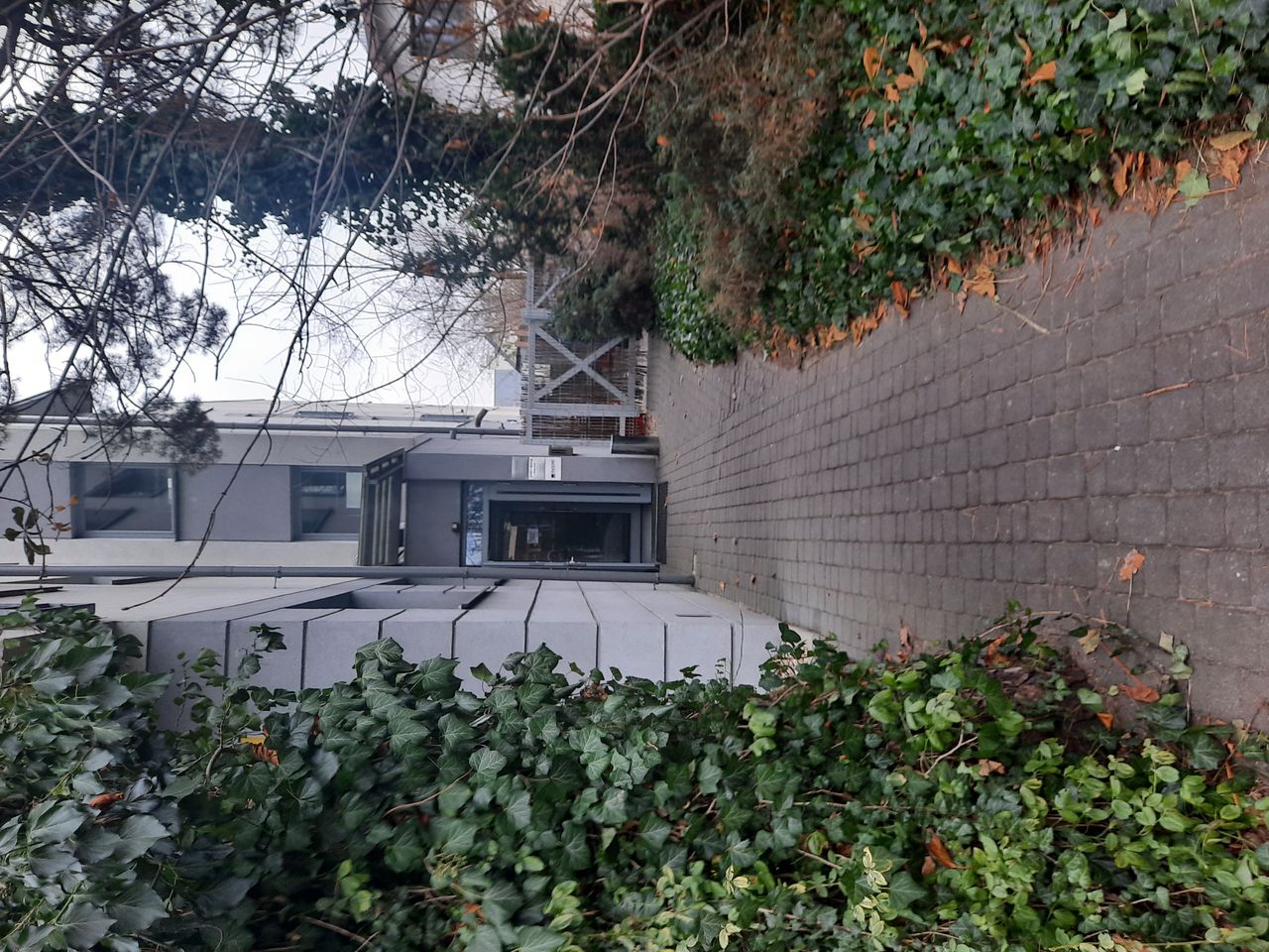 Katarzyna Leszczyńska-3