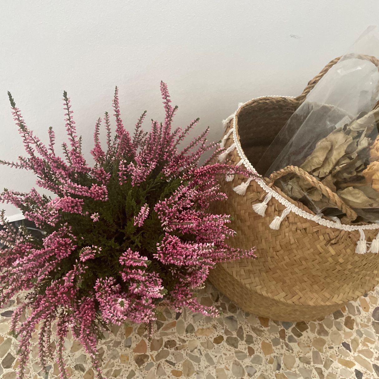 Patricia Gutiérrez Isla-16