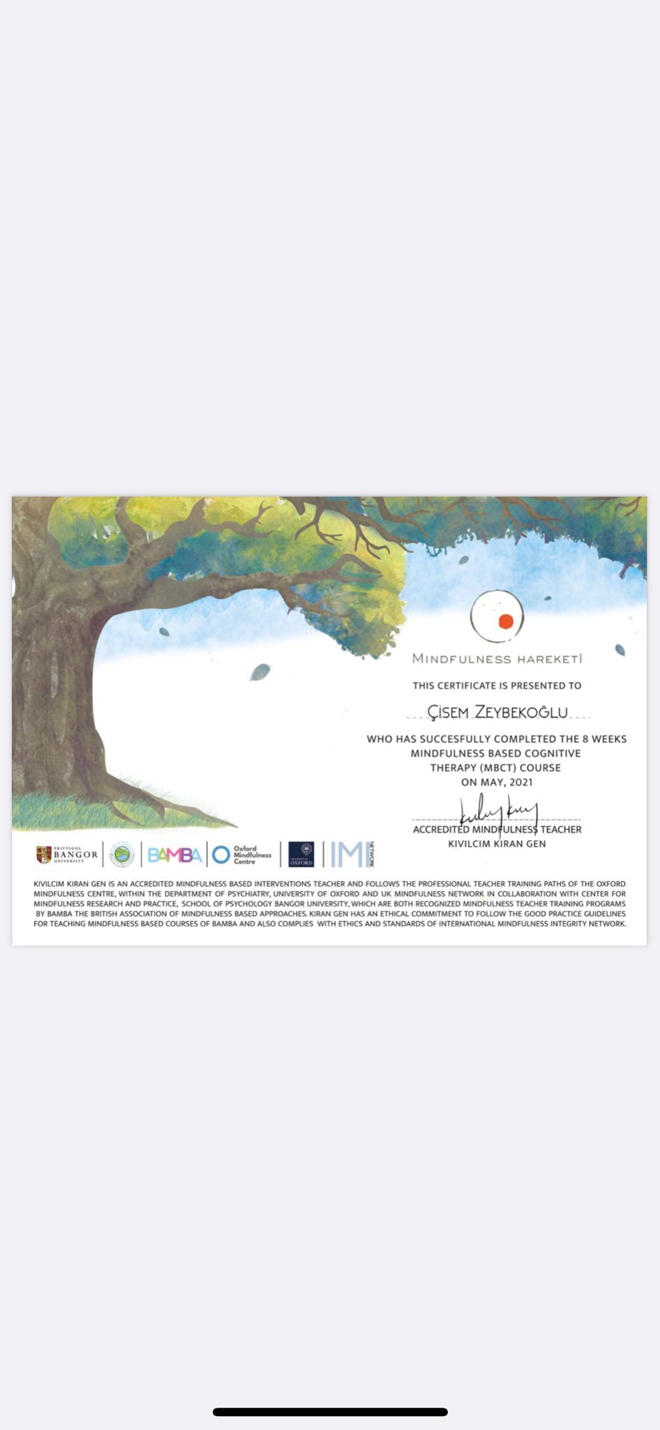 Çisem Zeybekoğlu-2