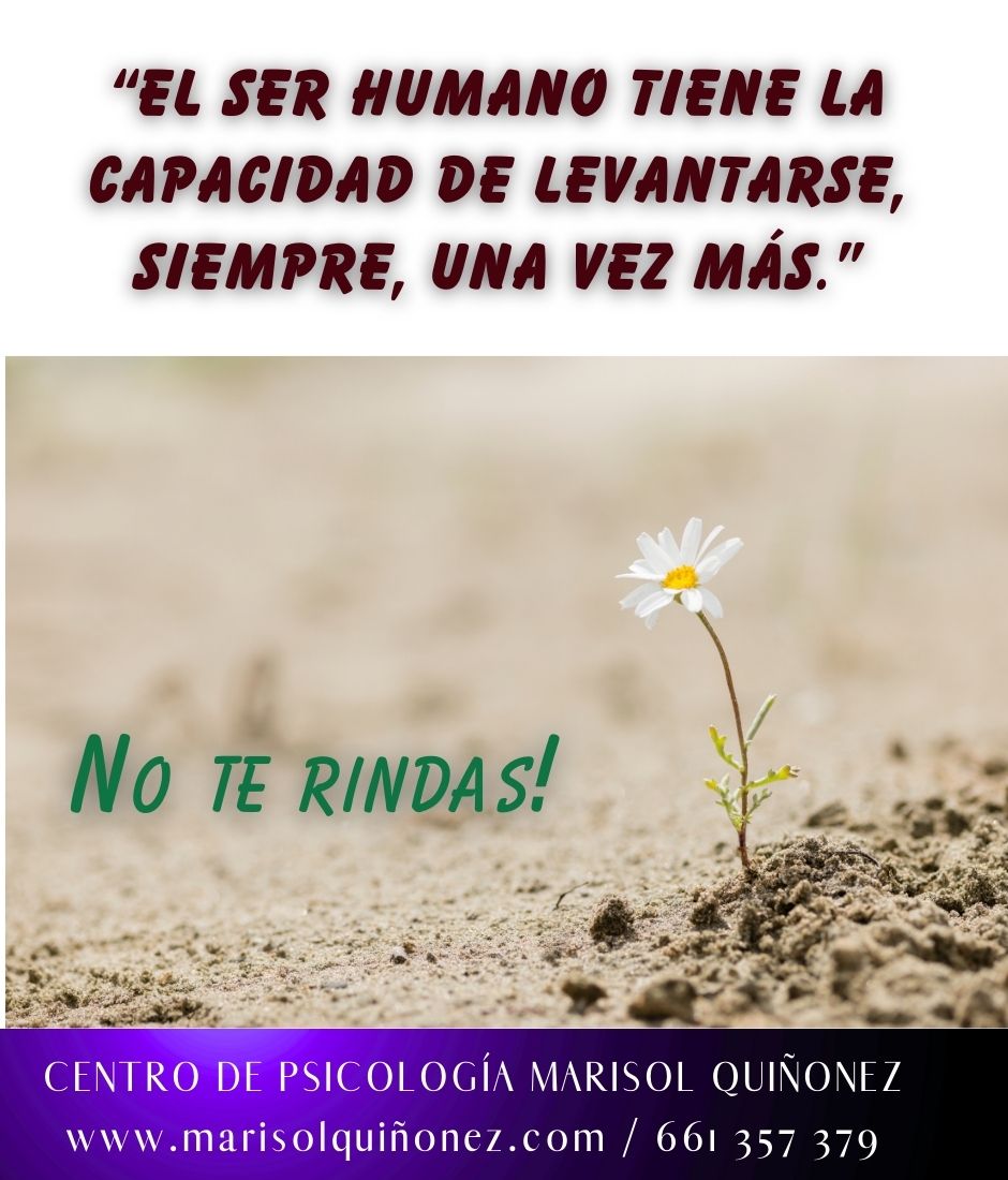 Marisol Quiñonez Quintero-163