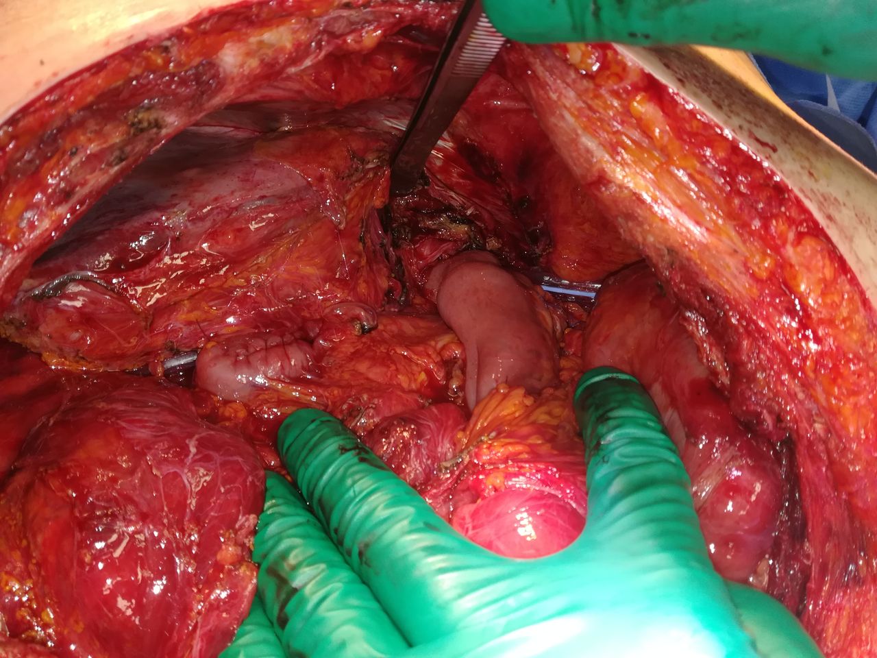 Marco Azzola Guicciardi-3