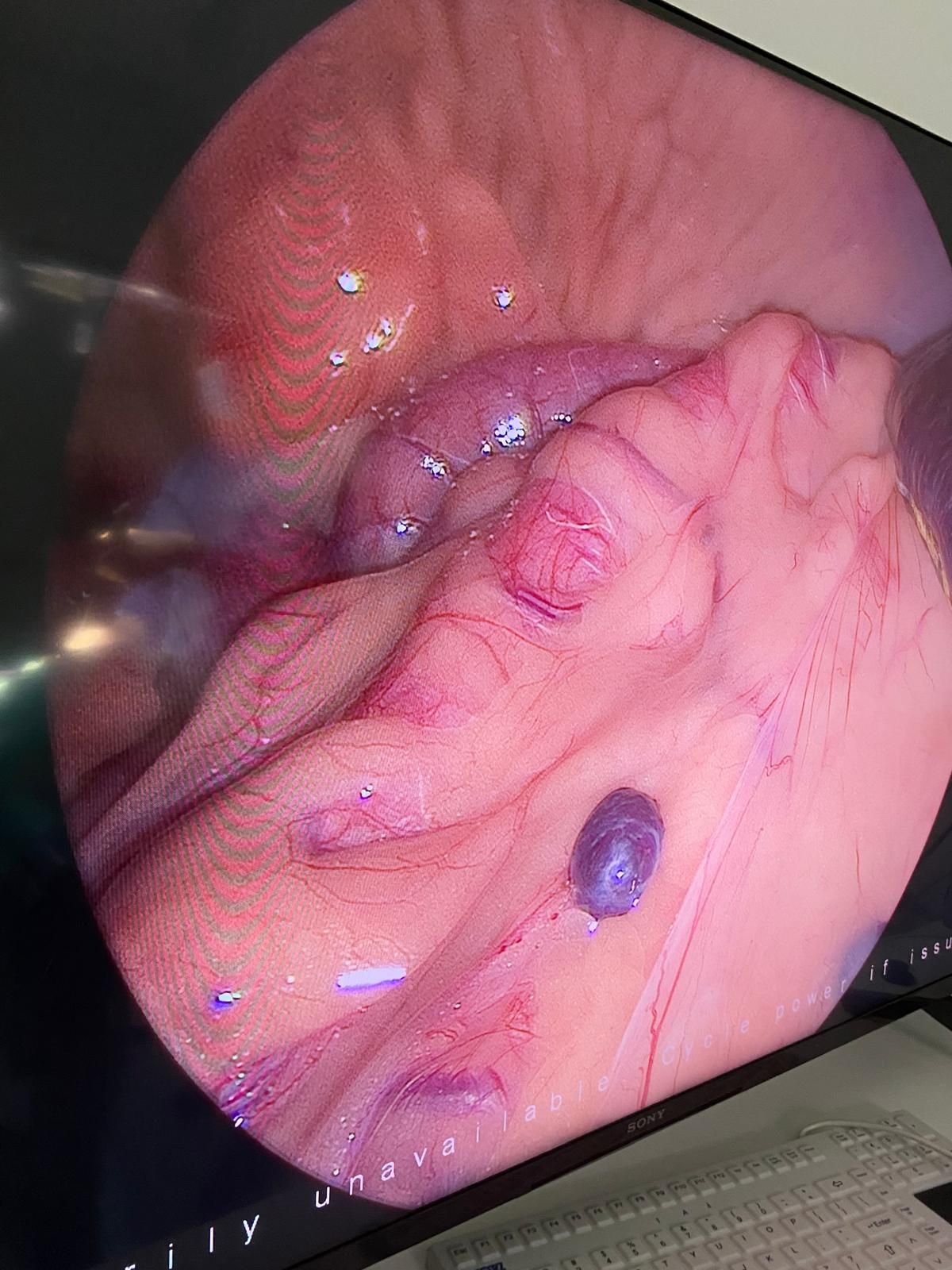 Radosław Fedaczyński-36