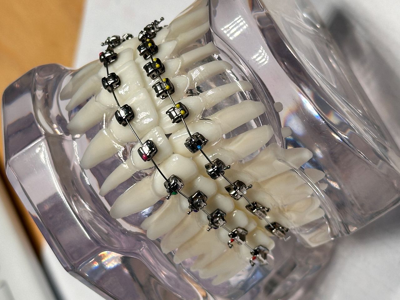 Hanna Petrashevich-10