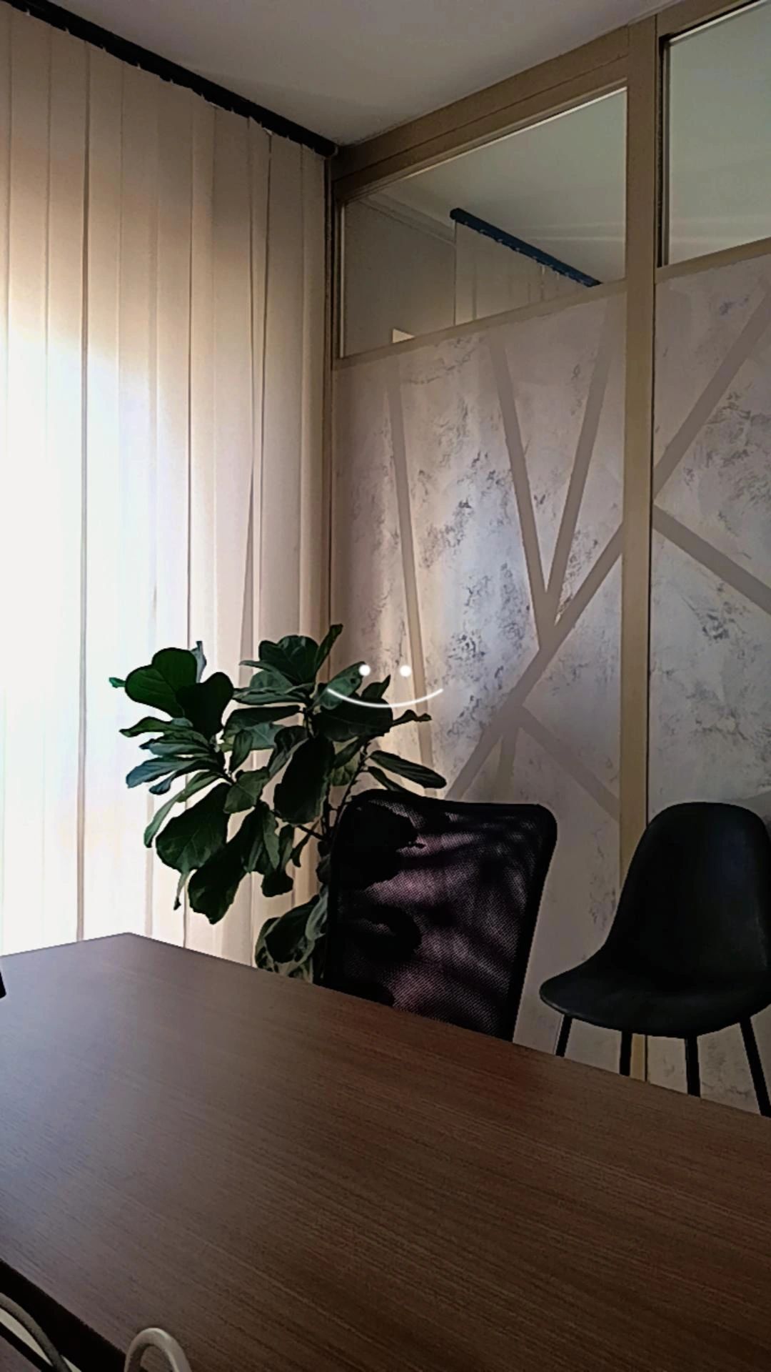 Paola Alessandra Repaci-6