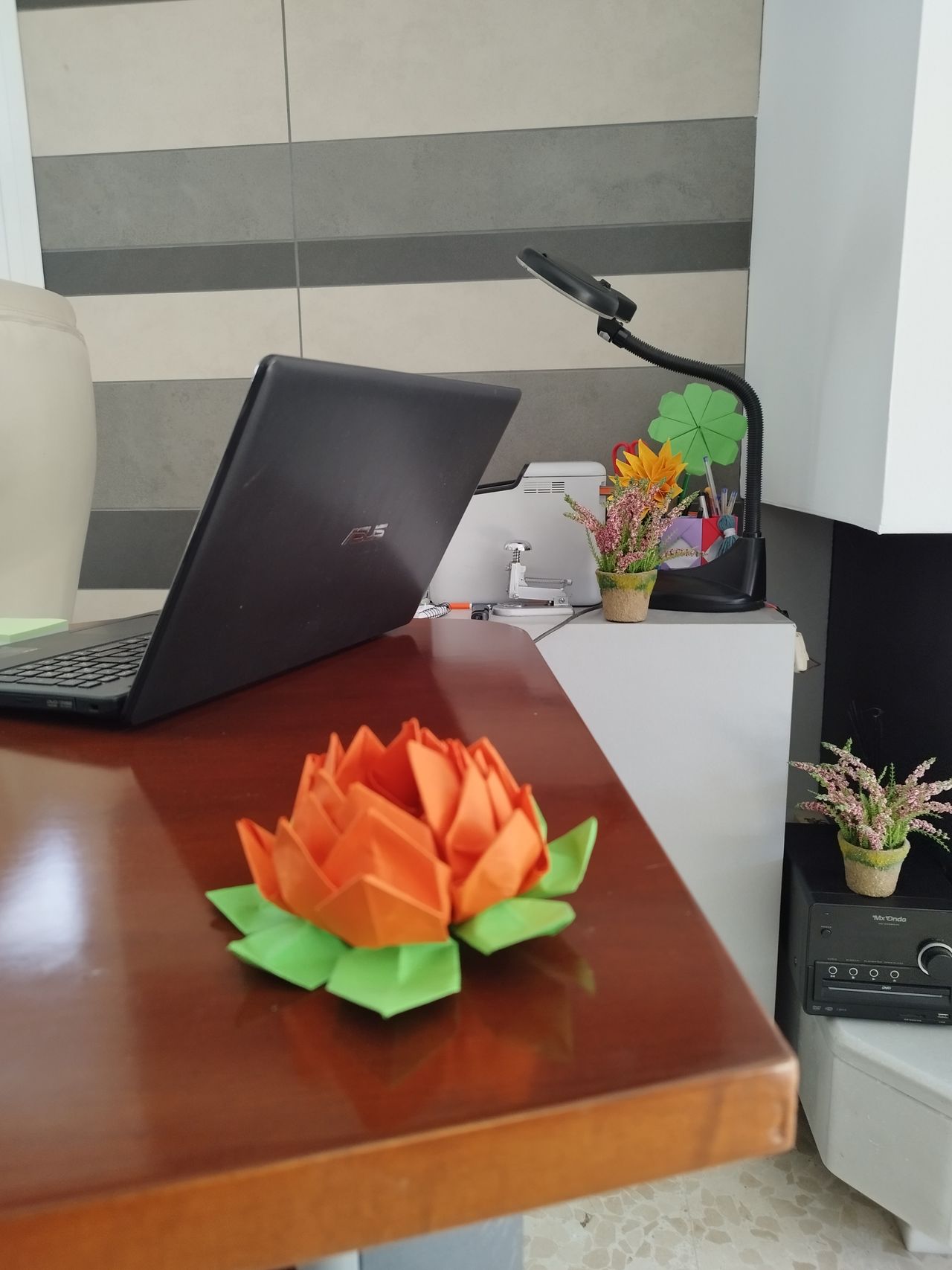 Fco. Javier Rodríguez Del Valle-7