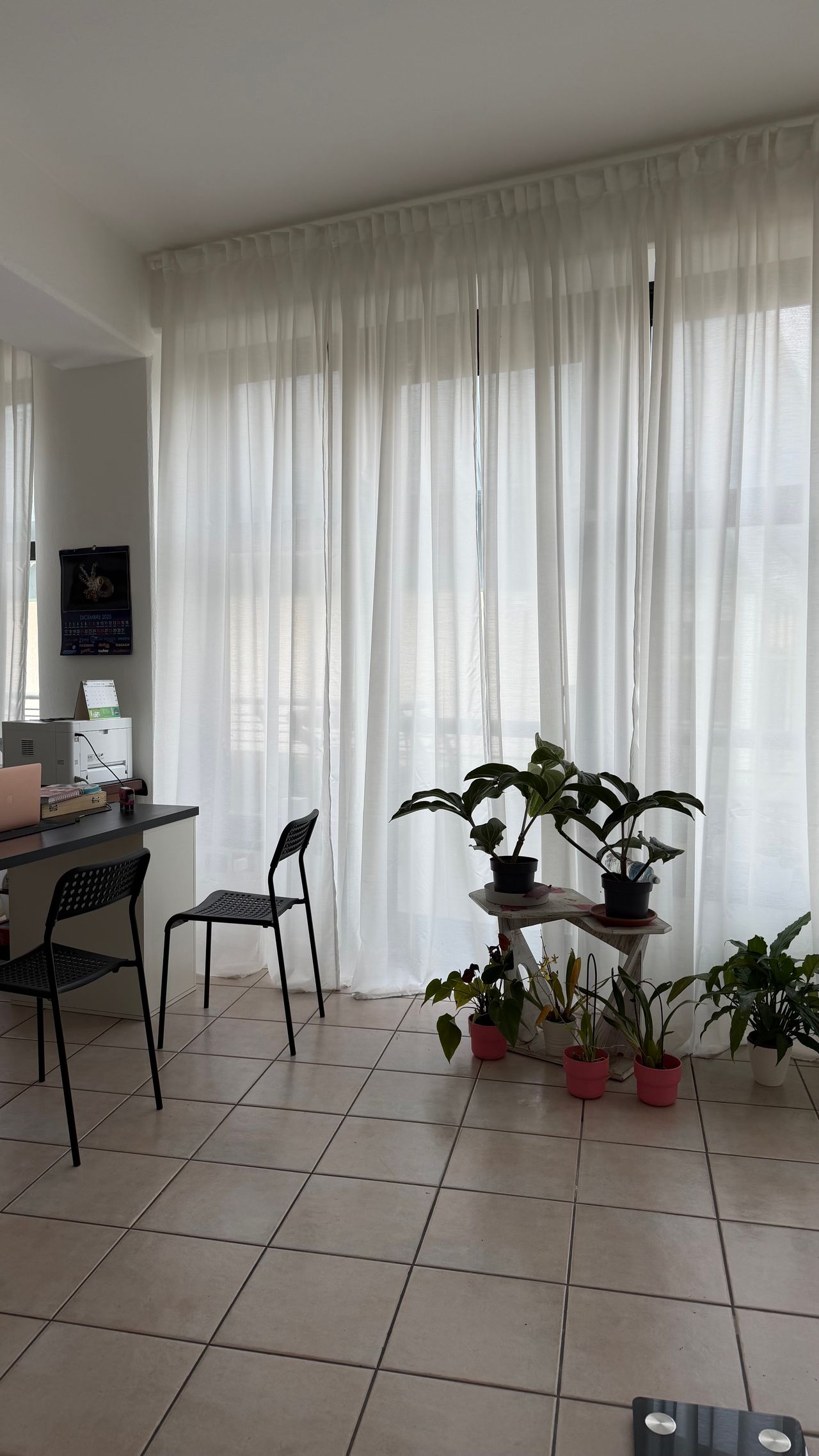 Chiara Maria Palazzi-1