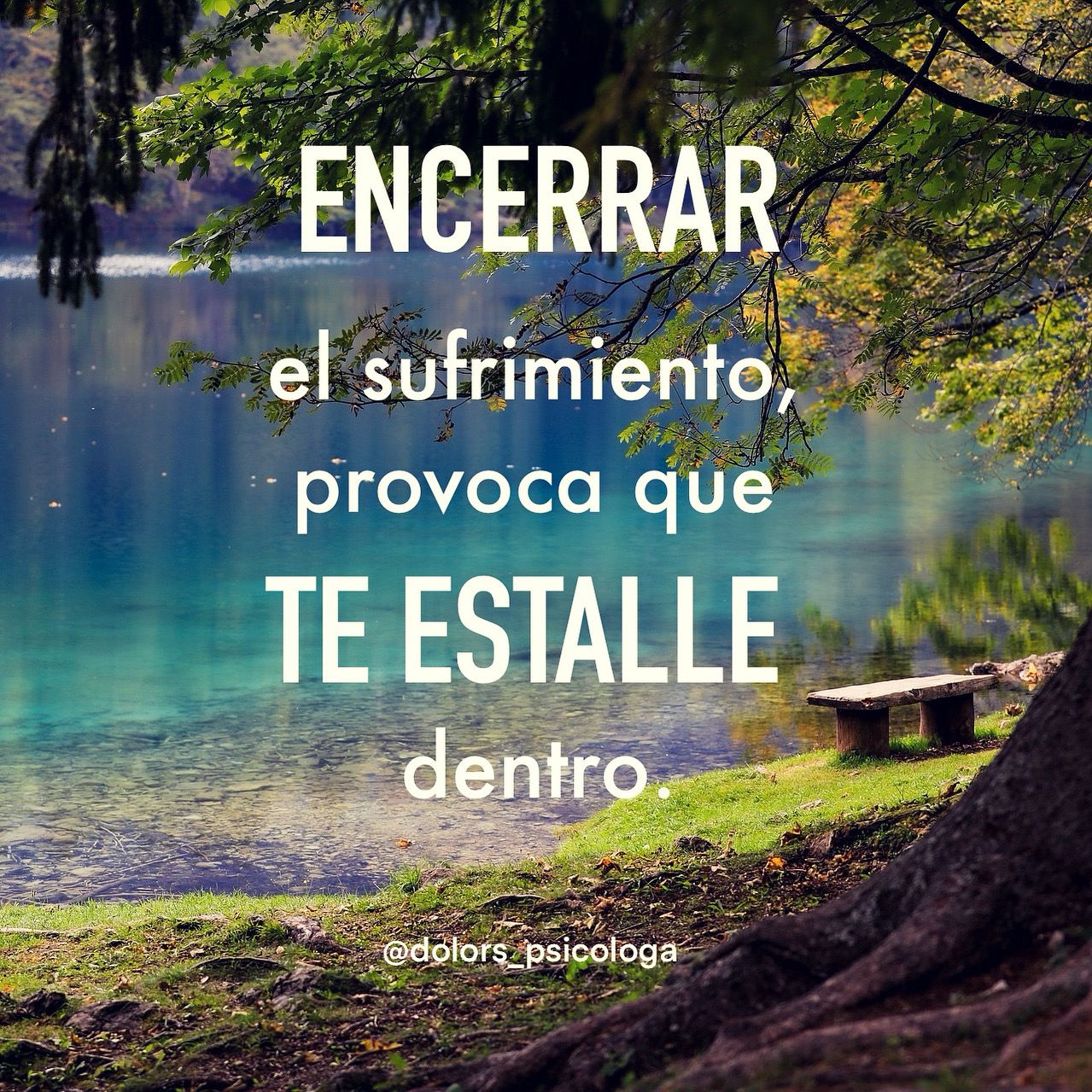 Mª Dolors Fernandez Rodriguez-12