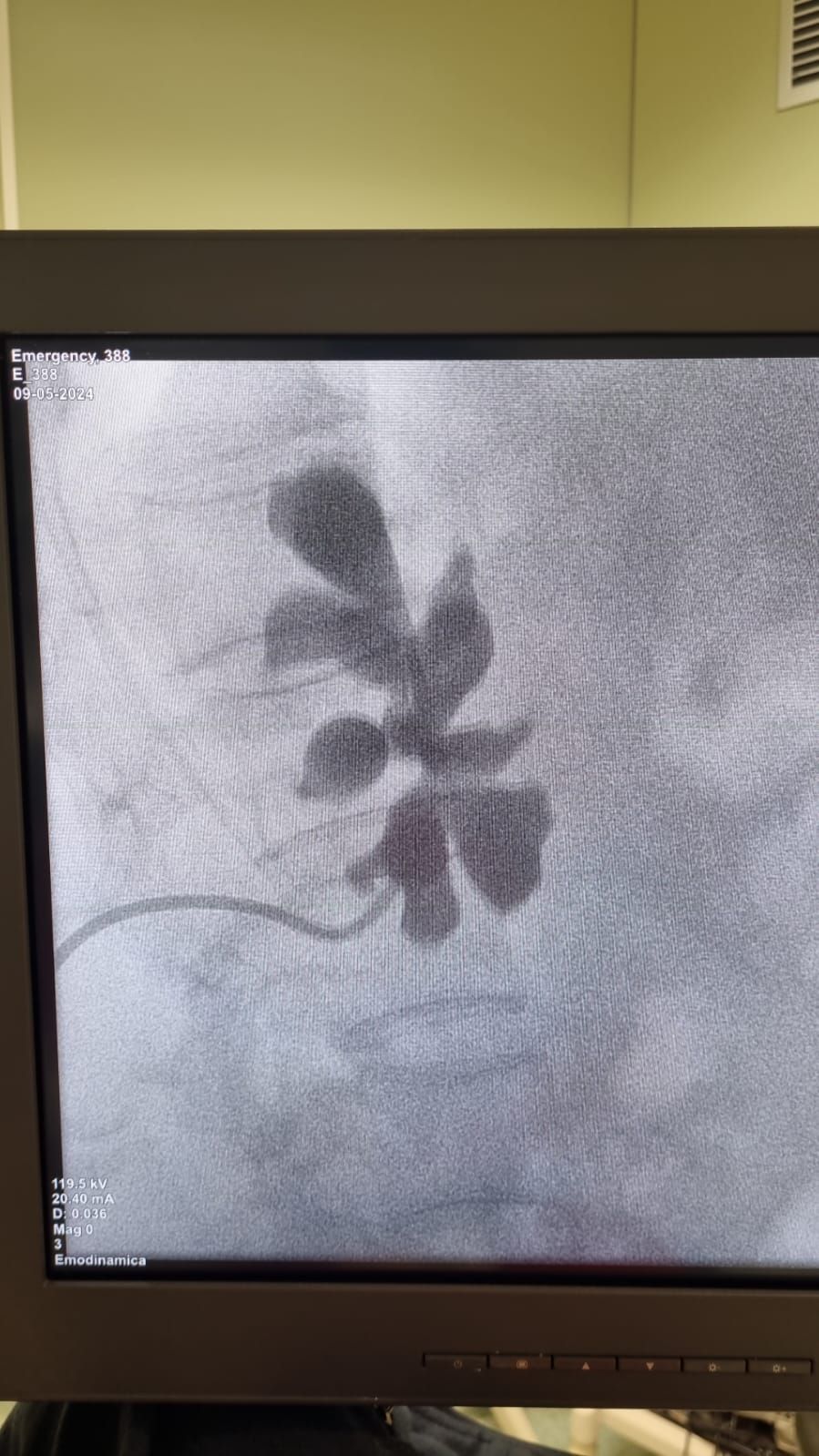 Salvatore Dioguardi-2